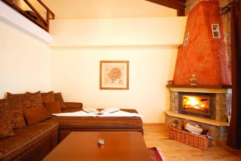 Vasilitsa Spa Resort Grevena Camera foto