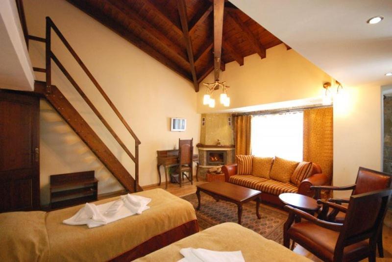 Vasilitsa Spa Resort Grevena Camera foto