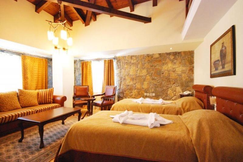 Vasilitsa Spa Resort Grevena Camera foto