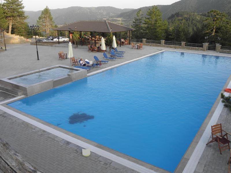 Vasilitsa Spa Resort Grevena Esterno foto